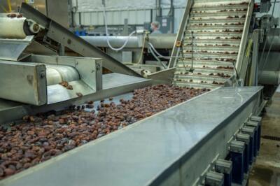 Processing Equipment